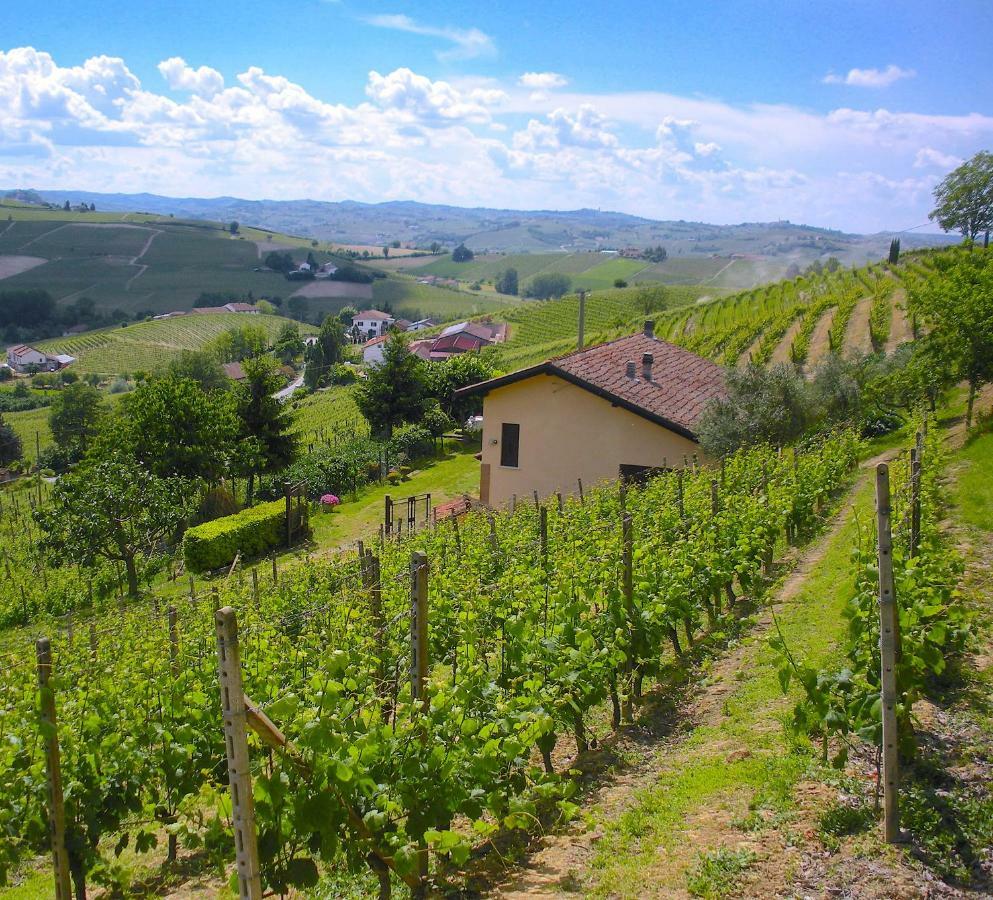 Cascina Tra I Vigneti A Nizza Monferrato Villa Bagian luar foto