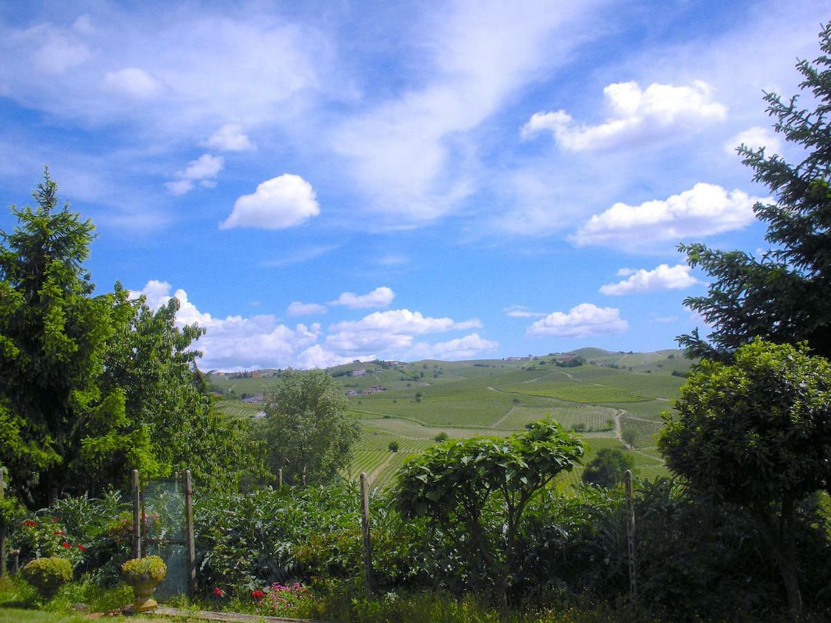 Cascina Tra I Vigneti A Nizza Monferrato Villa Bagian luar foto