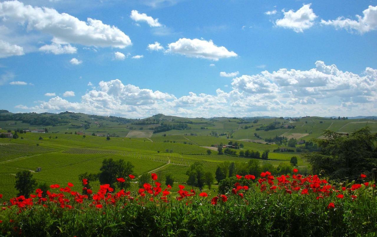Cascina Tra I Vigneti A Nizza Monferrato Villa Bagian luar foto