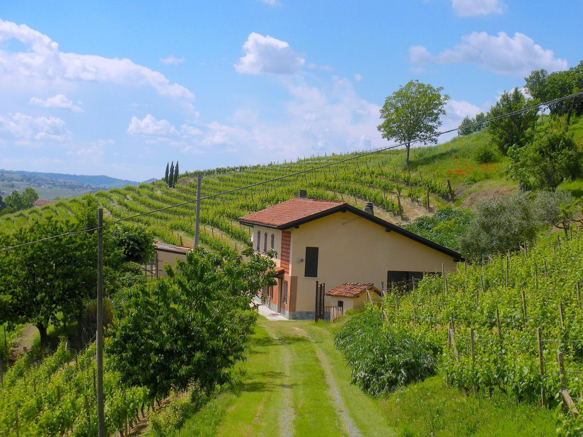 Cascina Tra I Vigneti A Nizza Monferrato Villa Bagian luar foto