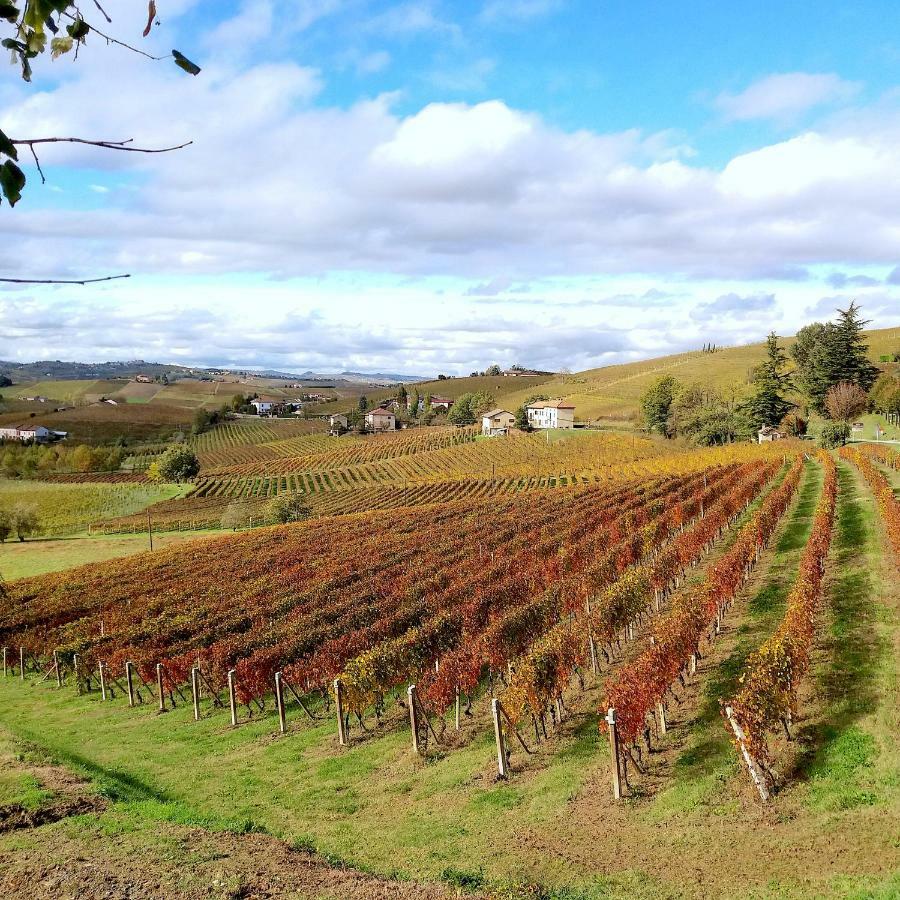 Cascina Tra I Vigneti A Nizza Monferrato Villa Bagian luar foto