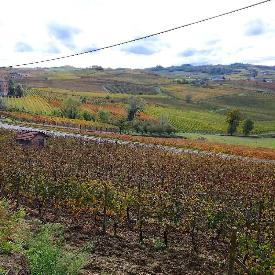 Cascina Tra I Vigneti A Nizza Monferrato Villa Bagian luar foto