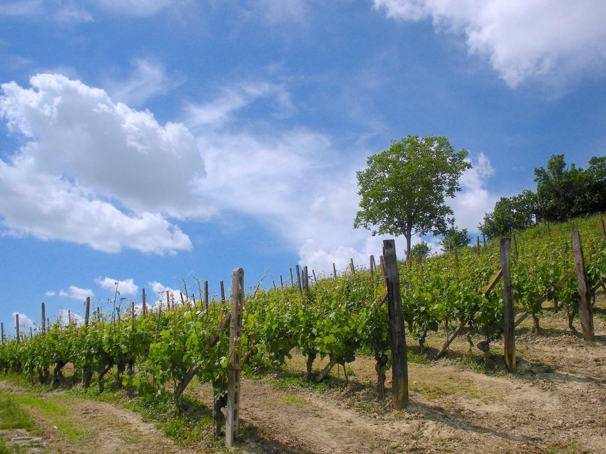 Cascina Tra I Vigneti A Nizza Monferrato Villa Bagian luar foto
