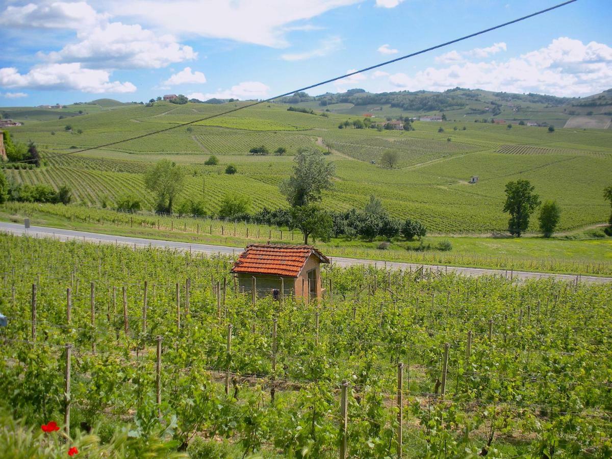 Cascina Tra I Vigneti A Nizza Monferrato Villa Bagian luar foto